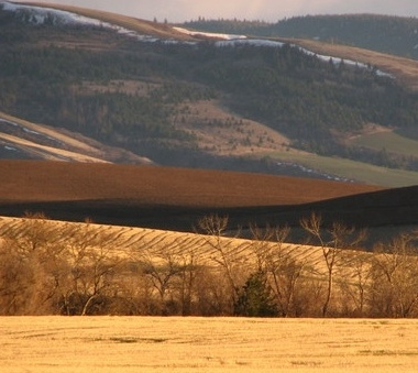 February fields flank the Blue Mountains