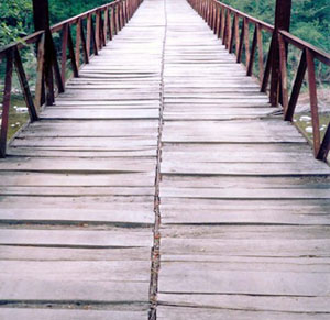 Click the image to read the story Lake House