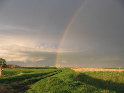 double rainbow