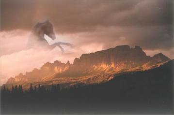 horse image in sky