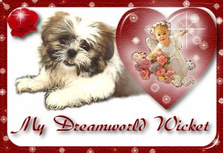 My Dreamworld Wicket