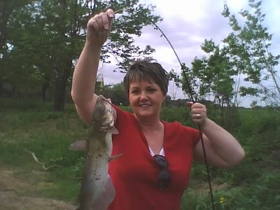 catfish again