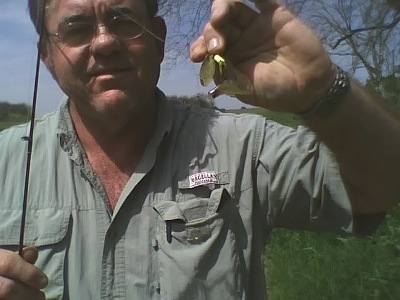 Catch of the Day