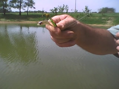 Closeup of C's big fish