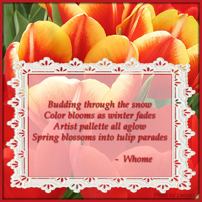 Poetry cNote - Tulips