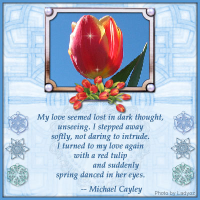 Poetry cNote - Tulip Blue
