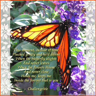 Poetry cNote - Butterfly
