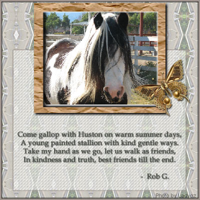 Poetry cNote - Gypsy Stallion