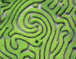 Maze Image