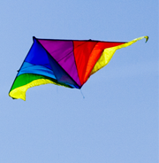 Colorful Kite