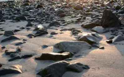 A rocky beach