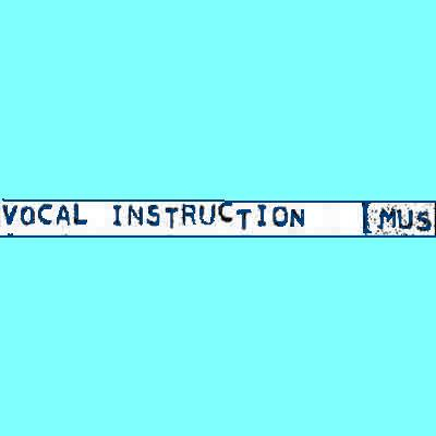 voice instruction