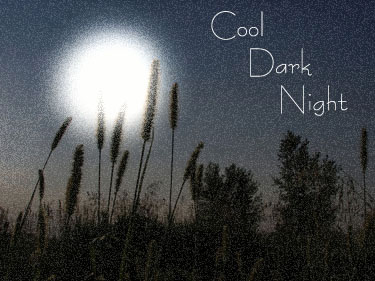 Image for the poem Cool Dark Night.