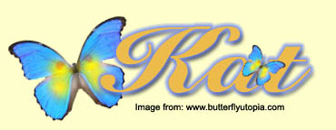 Personalized butterfly name banner