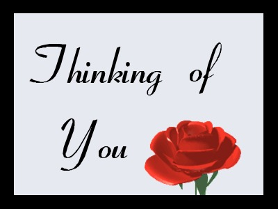 Rose Thinking of You