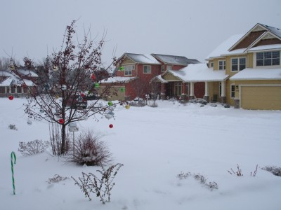 Yay, snow in Boise!