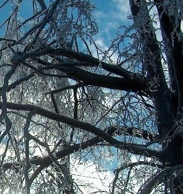 Ice Storm, 2008