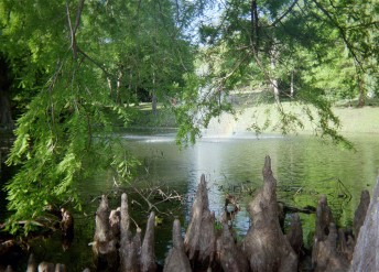 Knees of the trees, a fountain, a rainbow, Muscogee, OK in 2004.