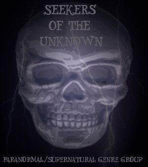 Seeker of the Uknown Grey Skull Siggie