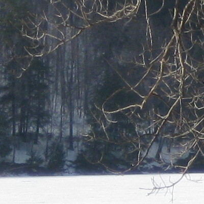 a winter picture at the lake