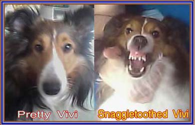The two sides of Vivi...