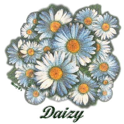 Daizy bunch