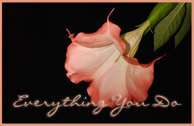 Image for the poem - Everything You Do