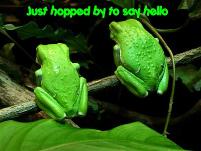 Green frogs