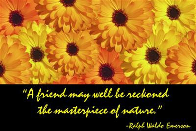 Friendship flowers