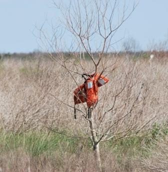 Photos from Bolivar Peninsula
