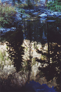 Reflection in Blodgett Creek, Montana. Photo by Hobie Hare of Missoula. Link to purchase.