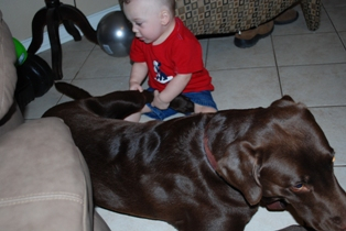 Ray and Maverik 1