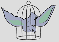 Caged Bird image