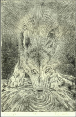 Wolf Etching on Plexiglass, Pressed