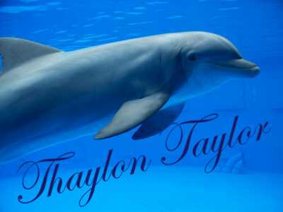 THAYLON DOLPHIN SIG