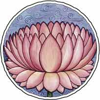 Lotus Flower image
