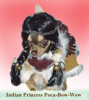 A photo of Indian Princess Poca Bow-Wow