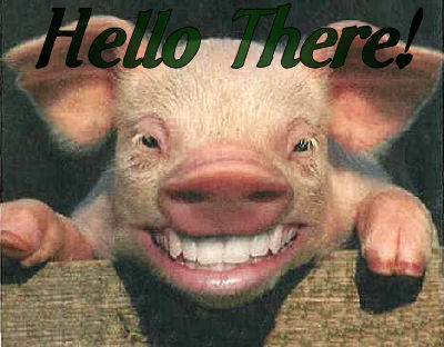 Hello There Piggy cNote