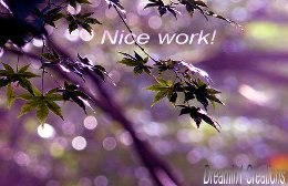 Purple Floral Cnote--Nice job