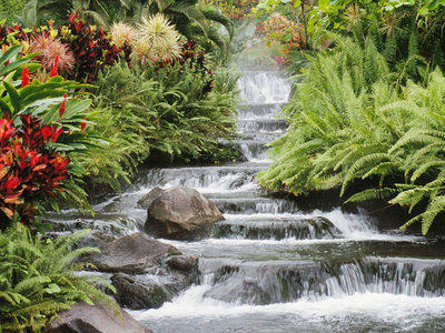 A garden pool