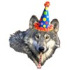 A birthday wolf.