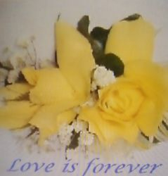 Love is Forever