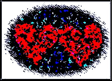 Digital Image of Two Hearts!