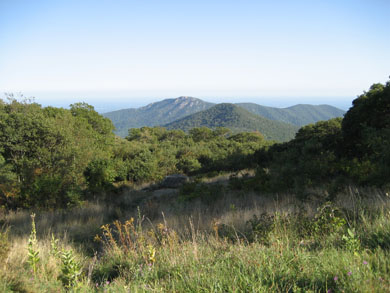 High Above the Skyline Drive... 