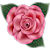 Rosebud bloom