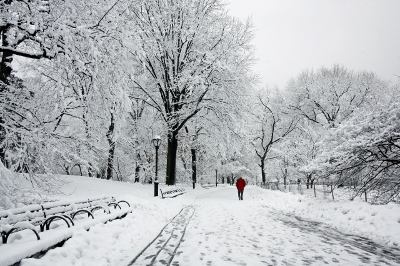 Snow landscape, photo by Maggi Smith from freedigitalphoto's.net