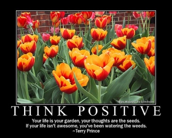 Think Positive sig