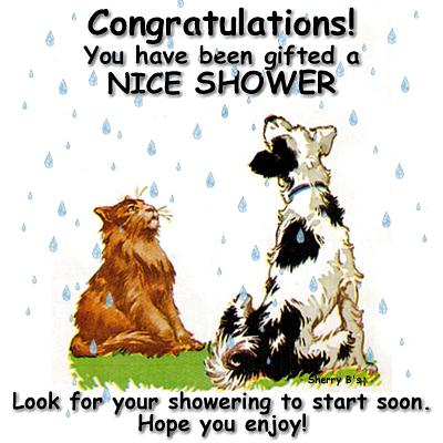 Cat and Dog Nice Shower