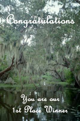 1st Place 