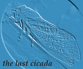 embossed cicada